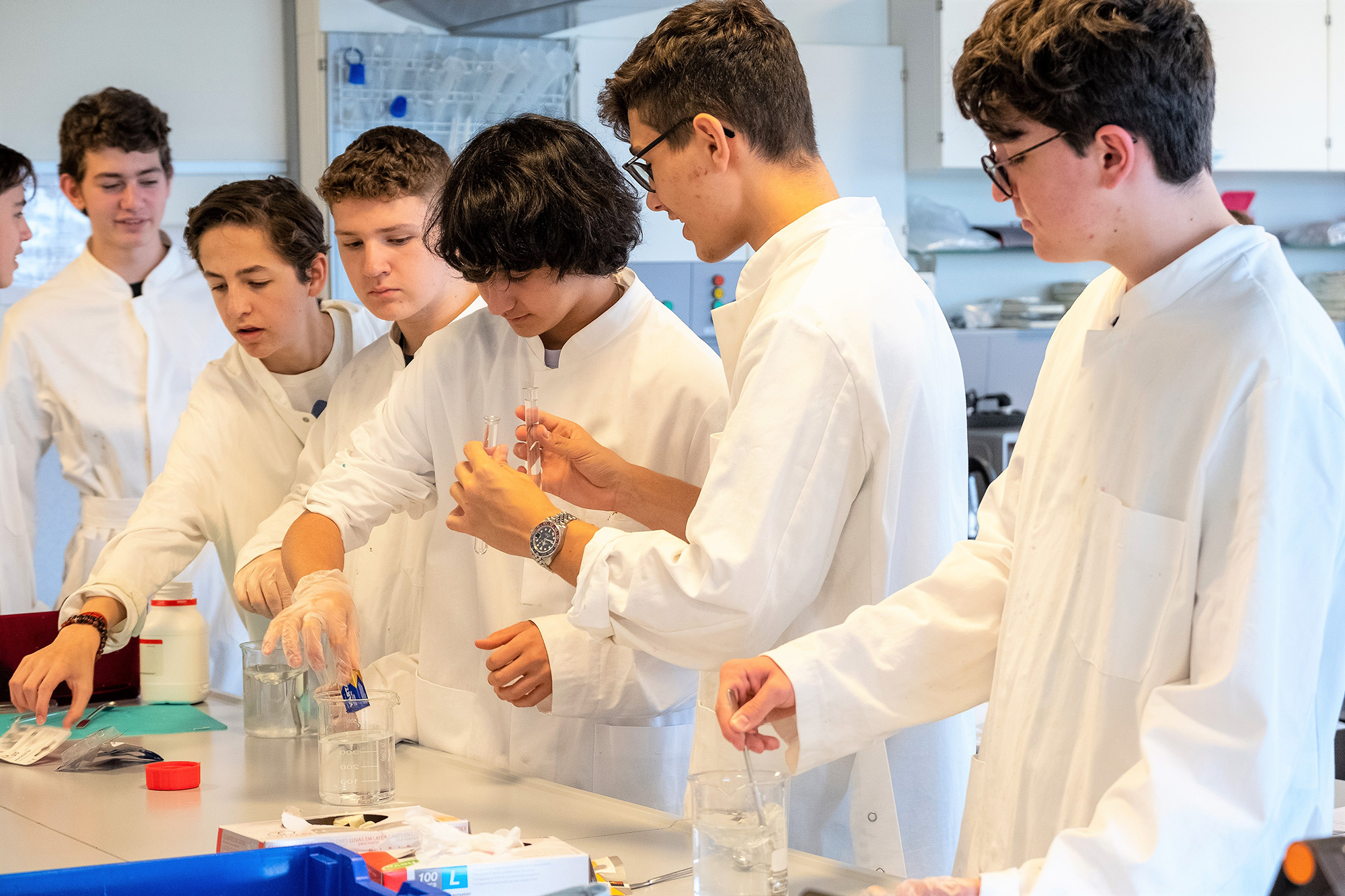 Sieben Studenten sind im Labor und experimentieren gemeinsam. Sie tragen alle einen weissen Kittel.	
