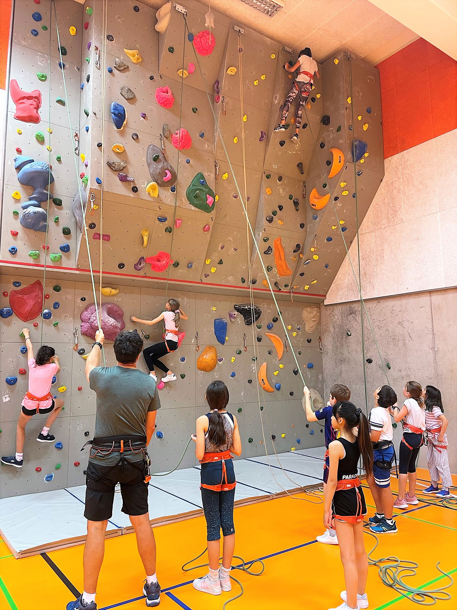 Children climb on a climbing wall and other children and the teacher stand below and hold the climbing children on ropes.	